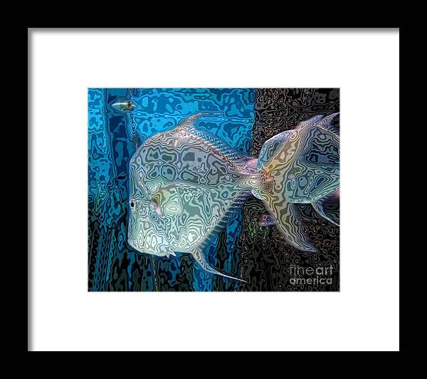 Lookdown Fish Framed Print featuring the photograph Synchronized Swimmers by Scott Cameron