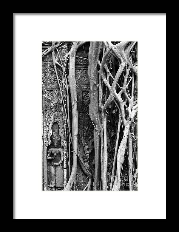 Cambodia Framed Print featuring the photograph Ta Prohm Roots And Stone 09 by Rick Piper Photography