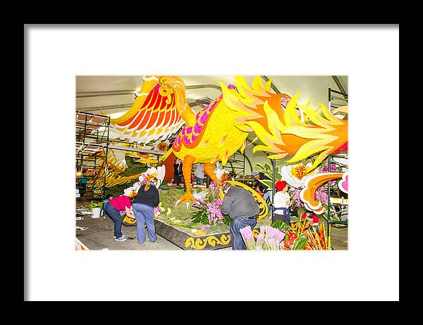 Rose Bowl Framed Print featuring the photograph Tail Feathers by Robert Hebert