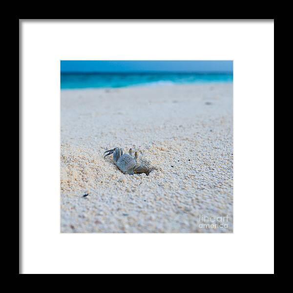 1x1 Framed Print featuring the photograph Take A Look by Hannes Cmarits