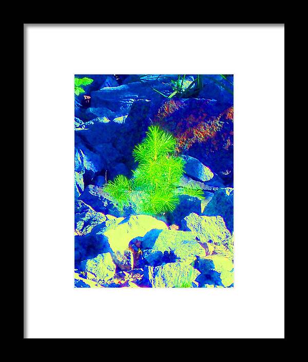 Landscape Framed Print featuring the photograph Taking Root by Ann Johndro-Collins