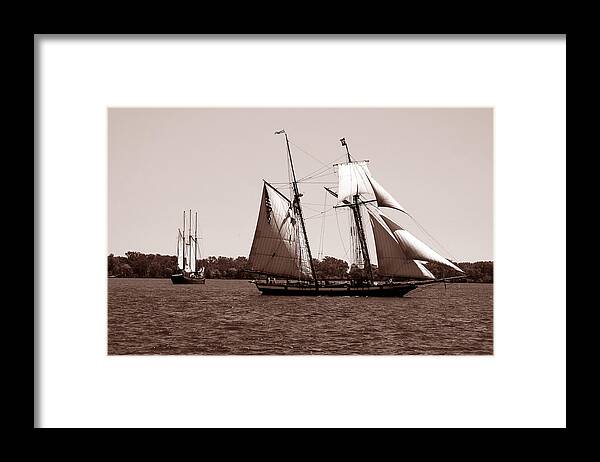 Tallship Framed Print featuring the photograph Tall Ships 3 by Andrew Fare
