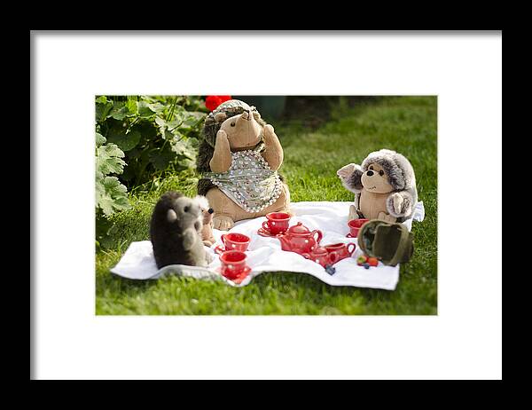 Mrs. Hedgie Framed Print featuring the photograph Tall Tale by Spikey Mouse Photography