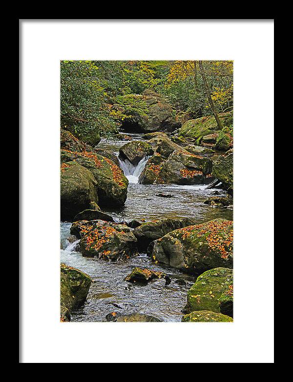 Landscape Framed Print featuring the photograph Tallulah River - Georgia by Richard Krebs