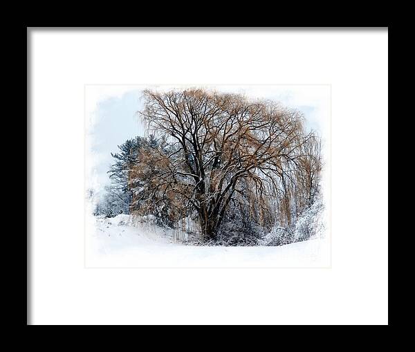Landscape Framed Print featuring the photograph Tan In Winter by Marcia Lee Jones