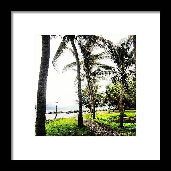 Coconut Framed Print featuring the photograph #tanjunglesung #beach #indonesia by Fajar Triwahyudi