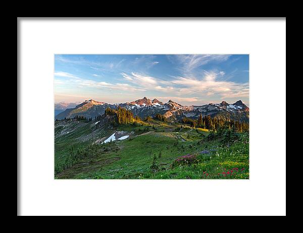 Alpine Framed Print featuring the photograph Tatoosh Range Wildflowers from Mazama Ridge by Michael Russell