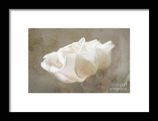 Rose Framed Print featuring the digital art Taupe Dreams by Jayne Carney