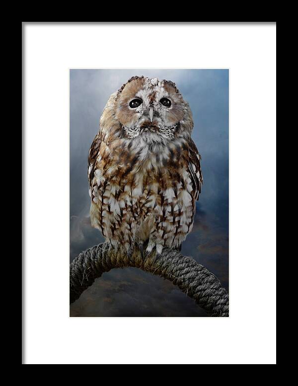 Owl Framed Print featuring the photograph Tawny Owl by Steven Michael