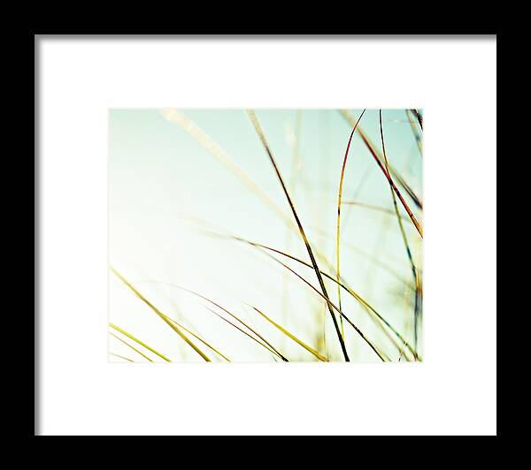 Grass Photograph Framed Print featuring the photograph Teal Glow by Lupen Grainne