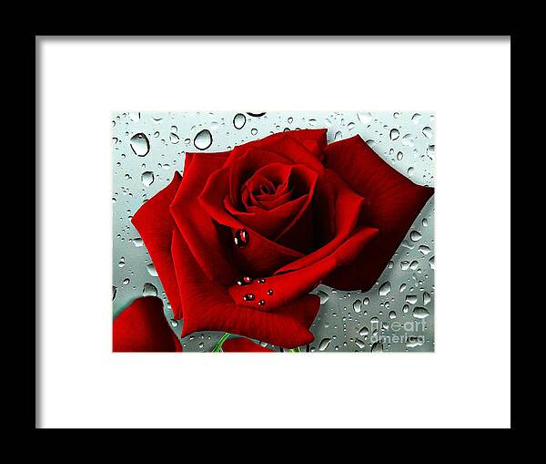 Red Rose Framed Print featuring the mixed media Tears from my Heart by Morag Bates