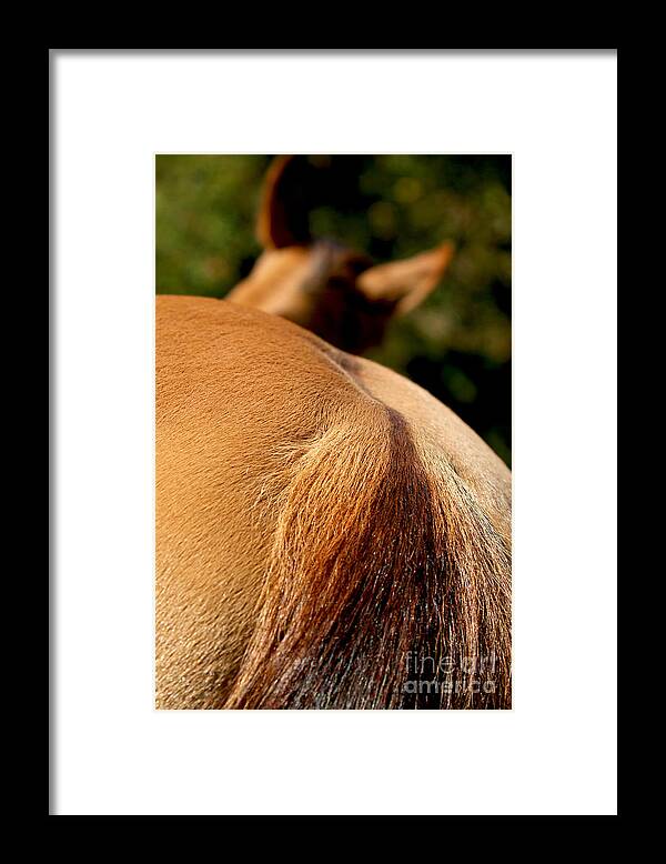 Nature Framed Print featuring the photograph Tell It To Me Walkin' by Michelle Twohig