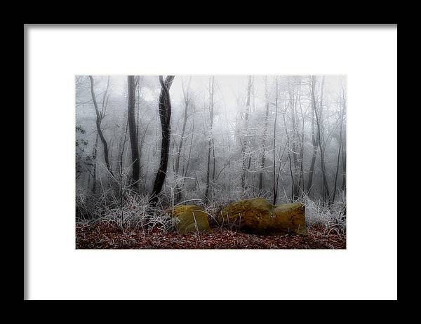 Landscape Frost Framed Print featuring the photograph Tennessee Mountain Frost by Michael Eingle