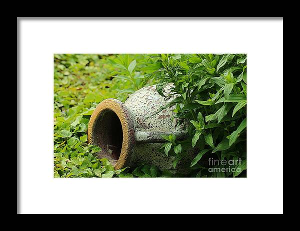 Nature Framed Print featuring the photograph Terracotta vase in the green by Amanda Mohler