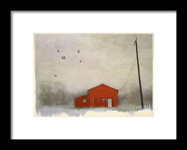 Tethered Framed Print featuring the photograph Tethered by Elena Nosyreva