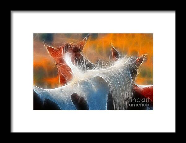 Horse Framed Print featuring the photograph Teton Horses by Clare VanderVeen