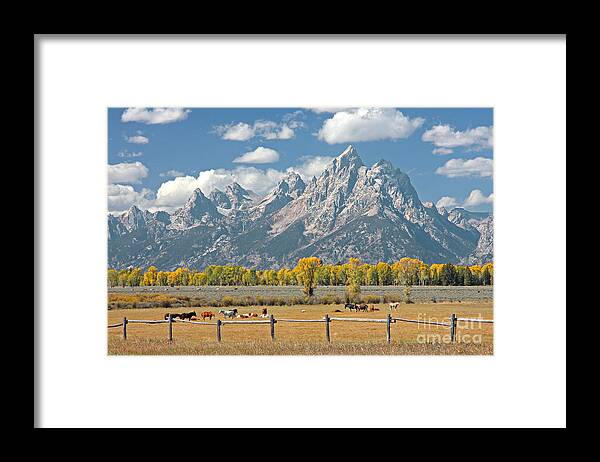 Teton Framed Print featuring the photograph Teton Range by Bill Singleton