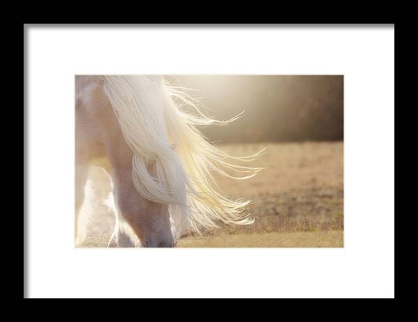 Texas Framed Print featuring the photograph Texas Gold by Amanda Smith