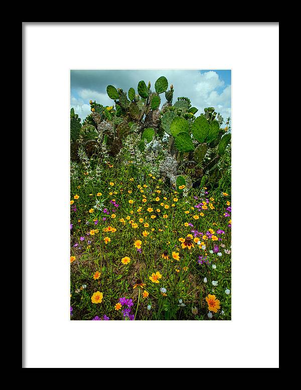 Flowers Framed Print featuring the photograph Texas Bouquet II by Randy Green