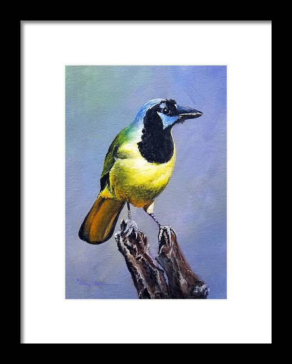 Mary Dove Art Framed Print featuring the painting Texas Green Jay by Mary Dove