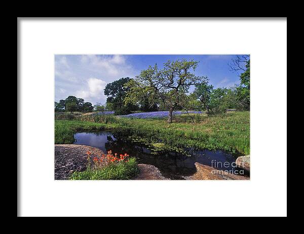 Texas Framed Print featuring the photograph Texas Hill Country - FS000056 by Daniel Dempster
