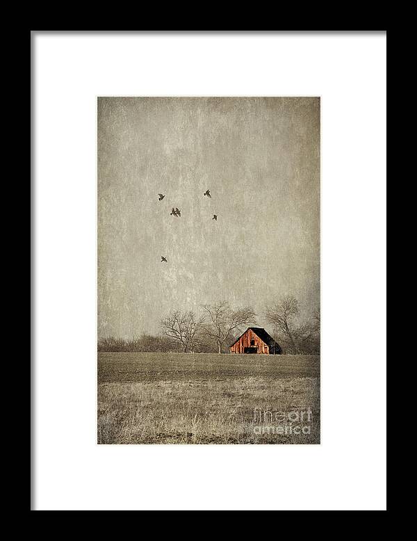 Texas Framed Print featuring the photograph Texas landscape by Elena Nosyreva