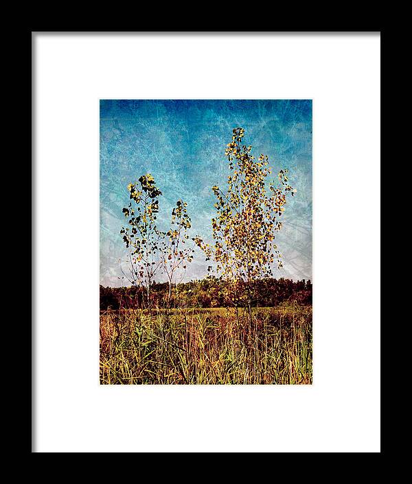 Trees Framed Print featuring the photograph Textural Trees by Shawna Rowe