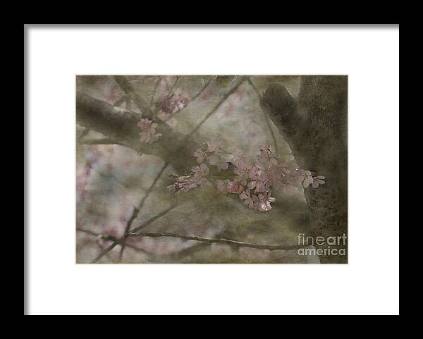 Spring Framed Print featuring the photograph Textures Of Spring by Arlene Carmel