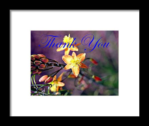 Thank You Framed Print featuring the photograph Thank You Card by Bob Johnson