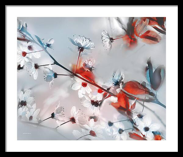 Flowers Photography Framed Print featuring the photograph Thank You Spring by Alfonso Garcia