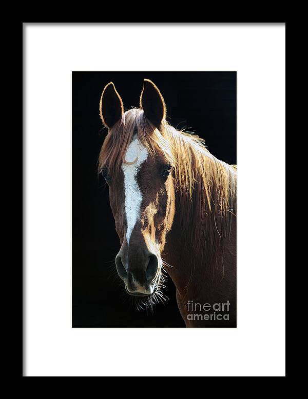 Nightvisions Framed Print featuring the photograph Flame - will be missed by NightVisions