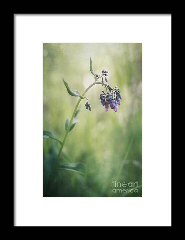 Mertensia Paniculata Framed Print featuring the photograph The Arrival Of Spring by Priska Wettstein