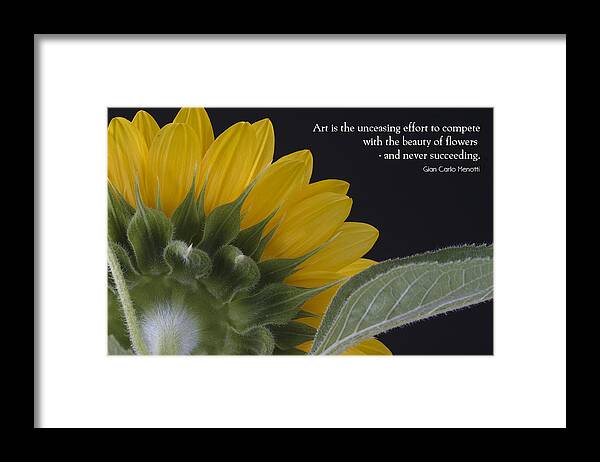 Flowers Framed Print featuring the photograph The Art of Nature by W Chris Fooshee