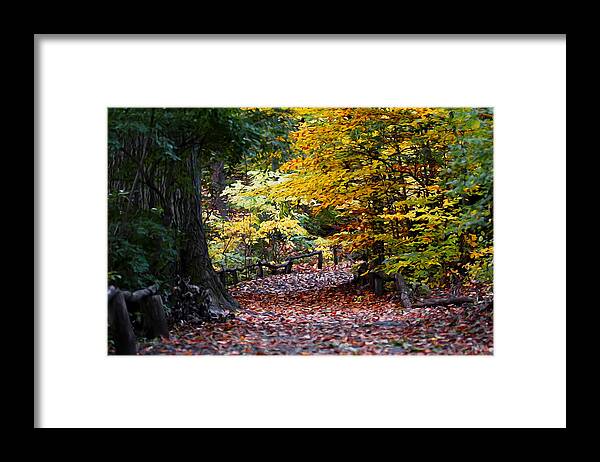 Manhattan Framed Print featuring the photograph The Autumn Path by Yue Wang