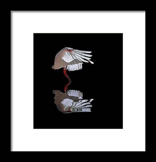 Wildlife Framed Print featuring the photograph The Ave by Juan Luis Duran