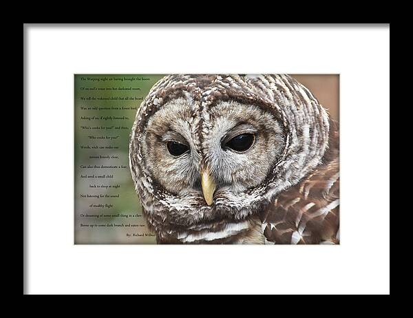 Poems Framed Print featuring the photograph The Barred Owl..Poem by Richard Wilbur by Tammy Schneider