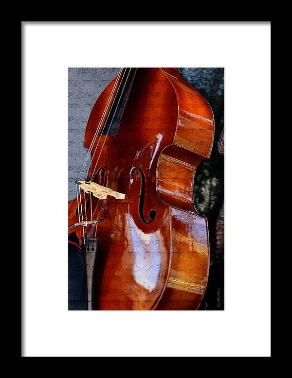 Bass Fiddle Framed Print featuring the mixed media The Bass of Music by Kae Cheatham