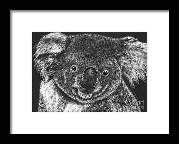 Koala Bear Framed Print featuring the drawing The Bear from Down Under by Lora Duguay