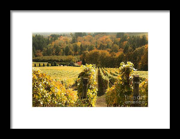 Spiritual Framed Print featuring the photograph The Beautiful Willamette Valley by Margaret Hood