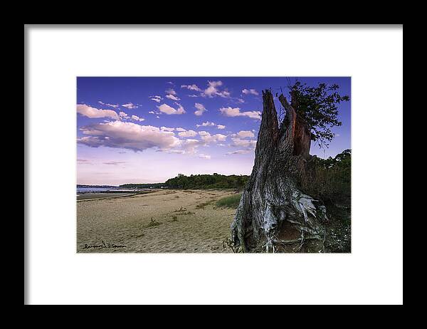 Beach Framed Print featuring the photograph The Beauty Of Decay by Raymond Severin