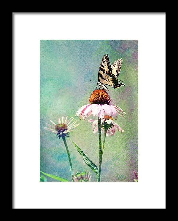 Nature Framed Print featuring the photograph The Beauty of Summer by Trina Ansel
