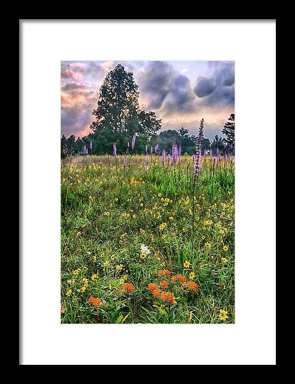 Blue Ridge Parkway Framed Print featuring the photograph The Beauty of the Blue Ridge Parkway by Dan Carmichael