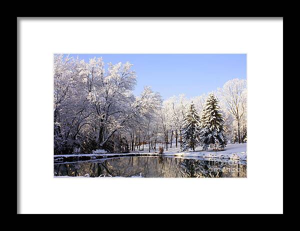 Marcia Lee Jones Framed Print featuring the photograph The Beauty Of White by Marcia Lee Jones