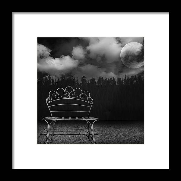 Conceptual Framed Print featuring the photograph The Bench is Back by Steven Michael