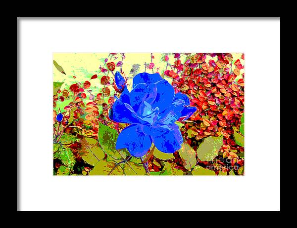 Digital Framed Print featuring the digital art The Blue Blue Rose by Alys Caviness-Gober