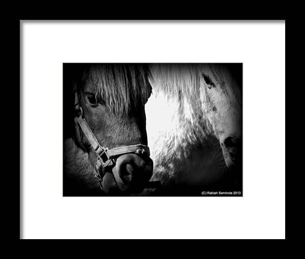 Horses Framed Print featuring the photograph The Boyz by Rabiah Seminole
