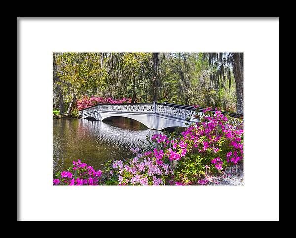Scenic Framed Print featuring the photograph The Bridge At Magnolia Plantation by Kathy Baccari