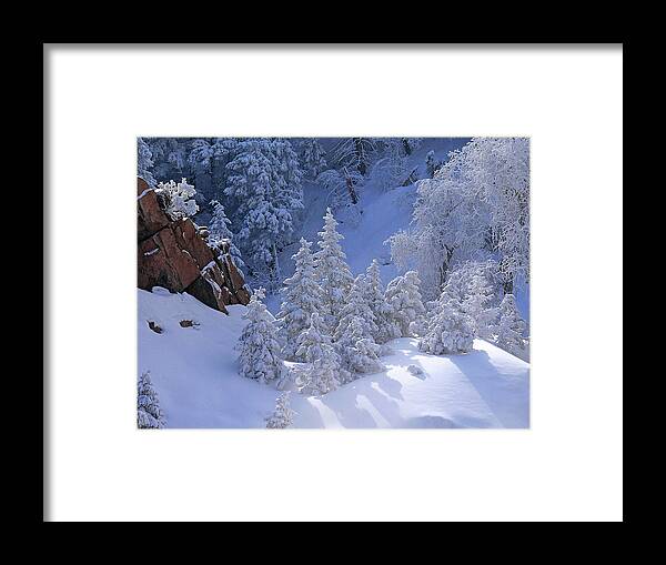 Canyon Snow Photograph Framed Print featuring the photograph The Canyon Snow by Jim Garrison