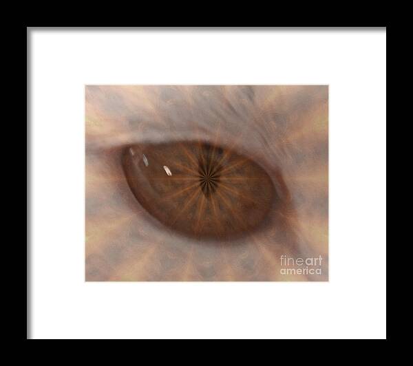 Digital Art Framed Print featuring the photograph The Cat Eye by Donna Brown