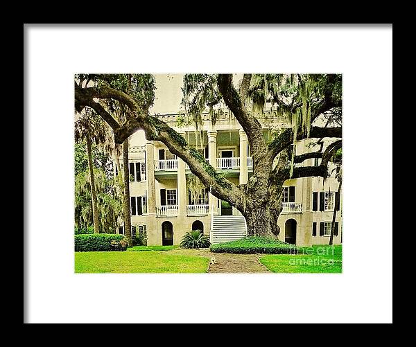 Oak Trees Framed Print featuring the photograph The Cat Guarding the Castle by Patricia Greer